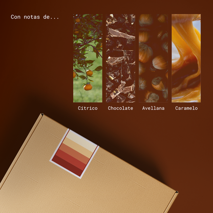 Café Classic - Arábica 50% Robusta 50% 250gr